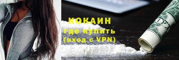 спиды Богородицк