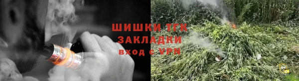 спиды Богородицк