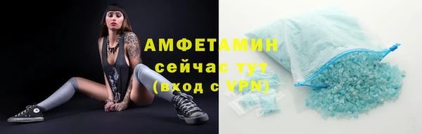 спиды Богородицк