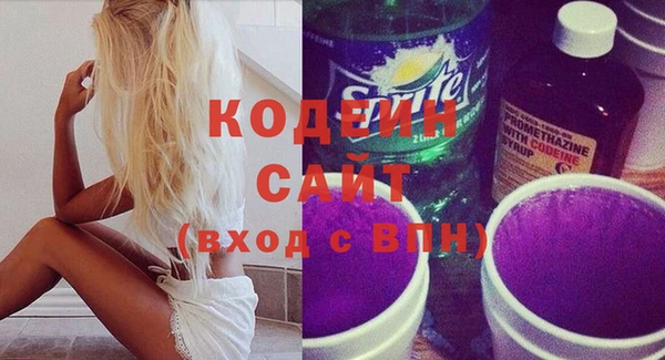 спиды Богородицк