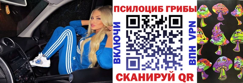 где найти наркотики  Кола  Псилоцибиновые грибы Psilocybine cubensis 
