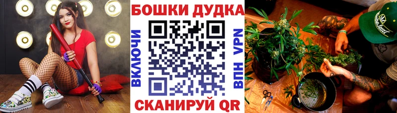 Каннабис OG Kush  купить   Кола 